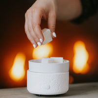 Thumbnail for soy wax melts white tea ginger